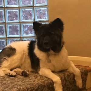 Meet your Posher, Denise